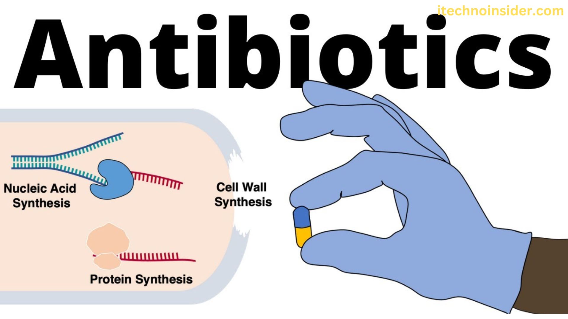 What Are Antibiotics?