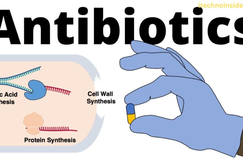  What Are Antibiotics?